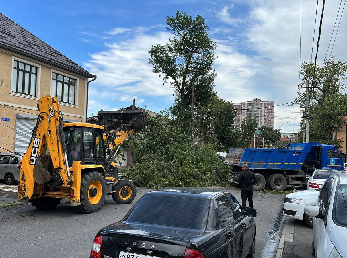 ❗️ В городе большое количество поваленных ветром деревьев. фото