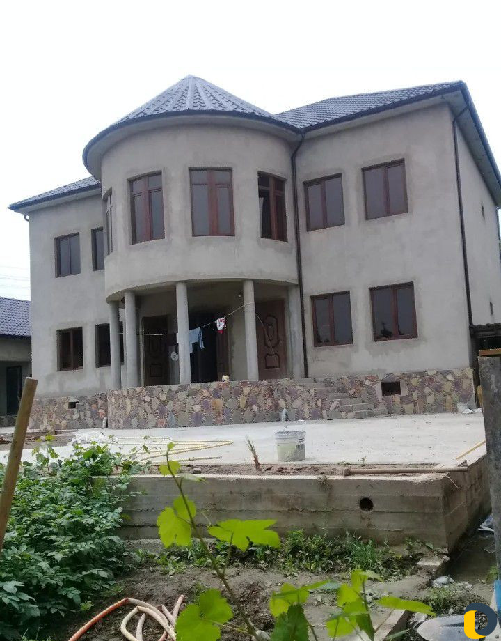 Шкатурка шипокиловка Шкатурка шипокиловка фото